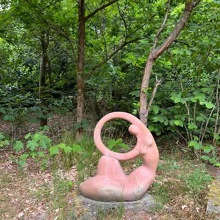 De Boomklever, Vrijstaand En Midden In Het Bos Aan De Heide! * Elspeet