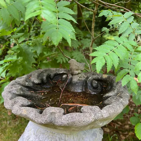 Casa de Férias De Boomklever, Vrijstaand En Midden In Het Bos Aan De Heide! Elspeet