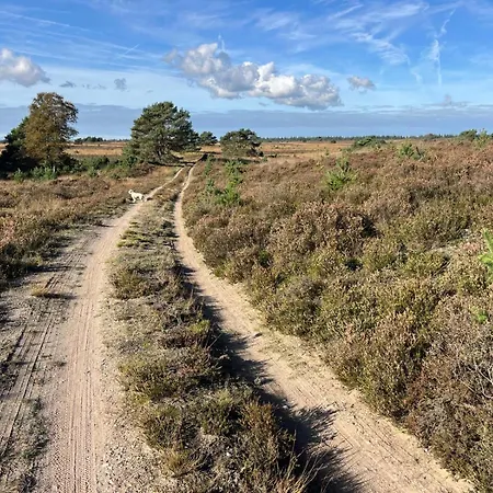 Casa de Férias De Boomklever, Vrijstaand En Midden In Het Bos Aan De Heide! Elspeet