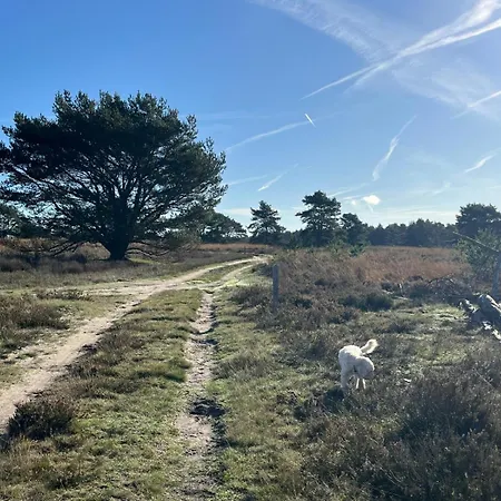 De Boomklever, Vrijstaand En Midden In Het Bos Aan De Heide! Elspeet