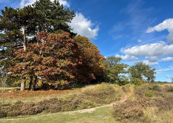 De Boomklever, Vrijstaand En Midden In Het Bos Aan De Heide! Semesterbostad *