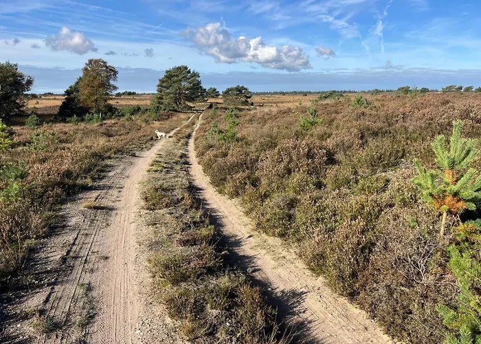 Semesterbostad De Boomklever, Vrijstaand En Midden In Het Bos Aan De Heide! Elspeet