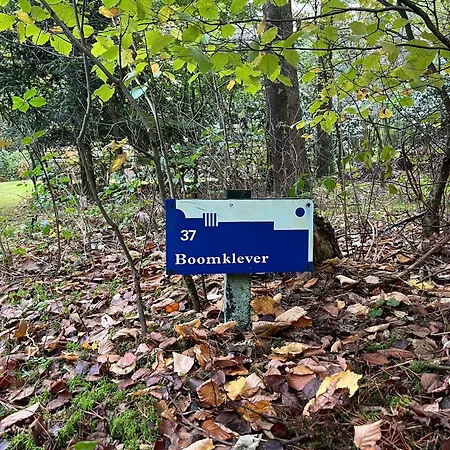 Ferienhaus De Boomklever, Vrijstaand En Midden In Het Bos Aan De Heide!