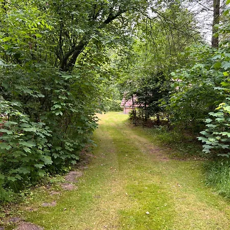 De Boomklever, Vrijstaand En Midden In Het Bos Aan De Heide! Elspeet
