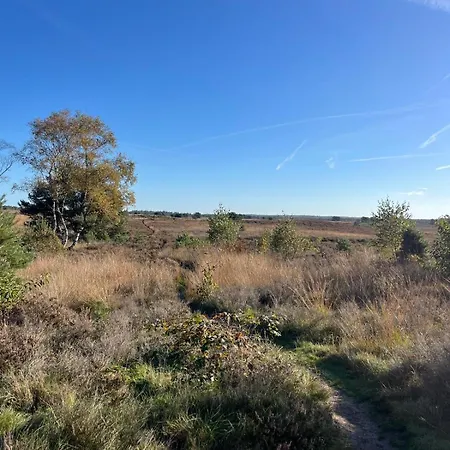 De Boomklever, Vrijstaand En Midden In Het Bos Aan De Heide! Elspeet