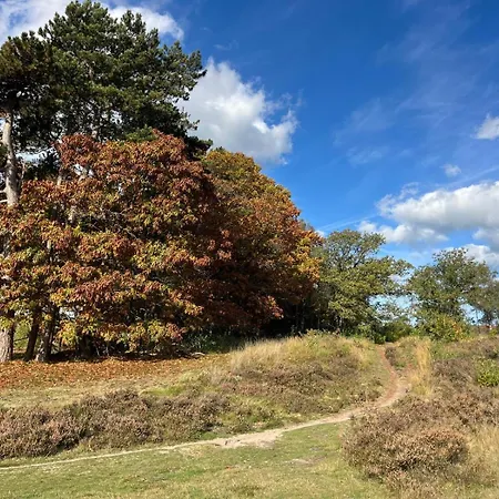 De Boomklever, Vrijstaand En Midden In Het Bos Aan De Heide! Tatil Evi *