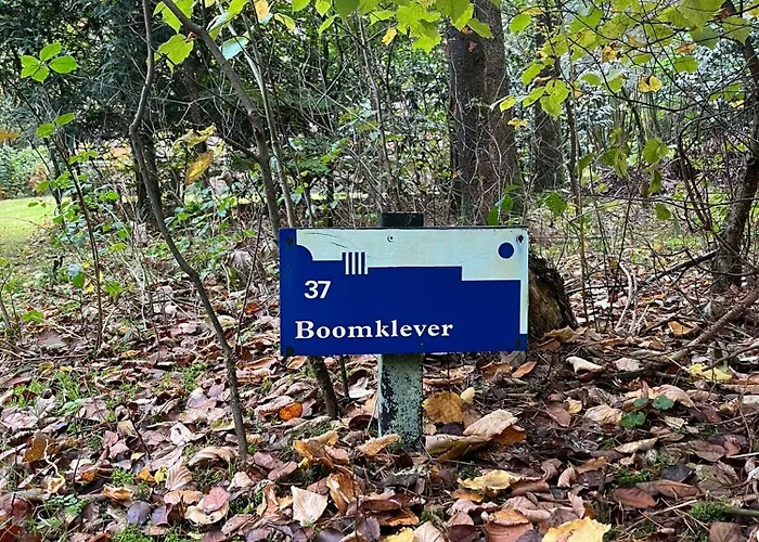 Tatil Evi De Boomklever, Vrijstaand En Midden In Het Bos Aan De Heide!