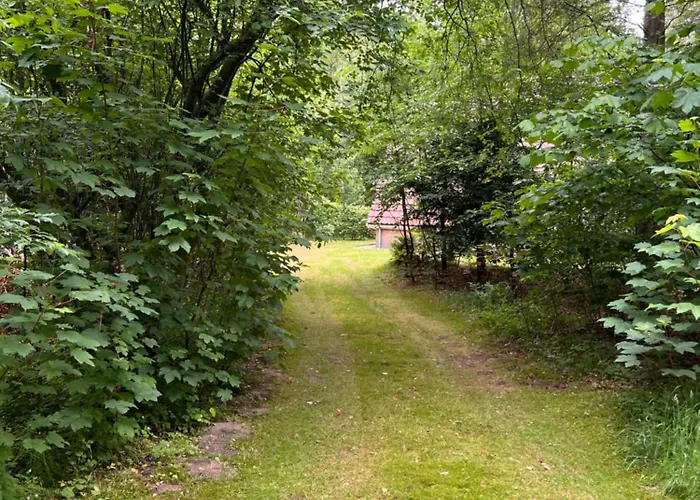 De Boomklever, Vrijstaand En Midden In Het Bos Aan De Heide! Elspeet