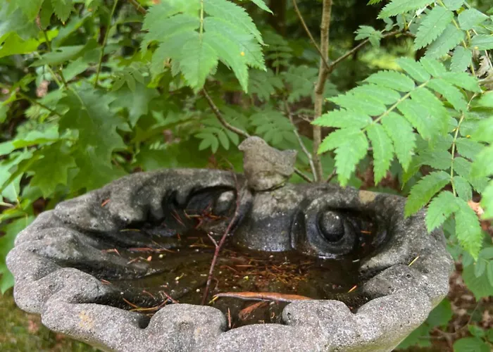 Tatil Evi De Boomklever, Vrijstaand En Midden In Het Bos Aan De Heide! Elspeet