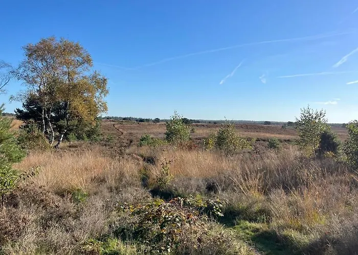 De Boomklever, Vrijstaand En Midden In Het Bos Aan De Heide! Elspeet