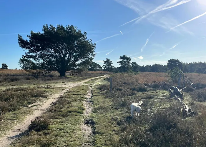 De Boomklever, Vrijstaand En Midden In Het Bos Aan De Heide! Elspeet